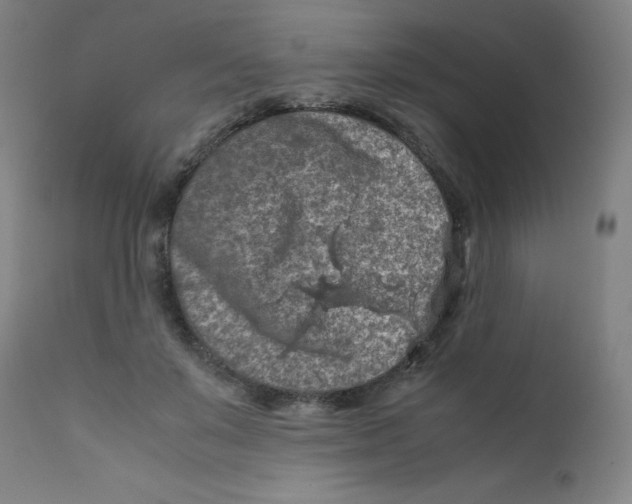 X0000112210503200909041344
