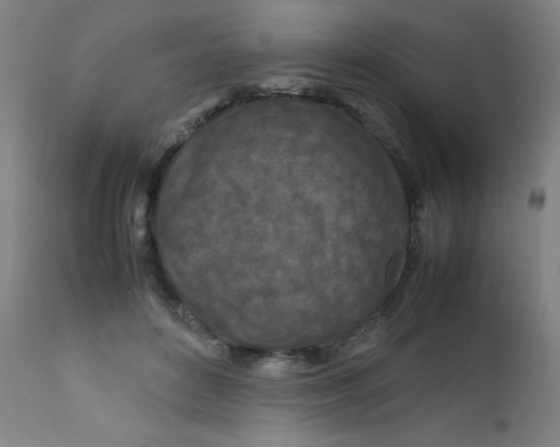 X0000112210504200909041344