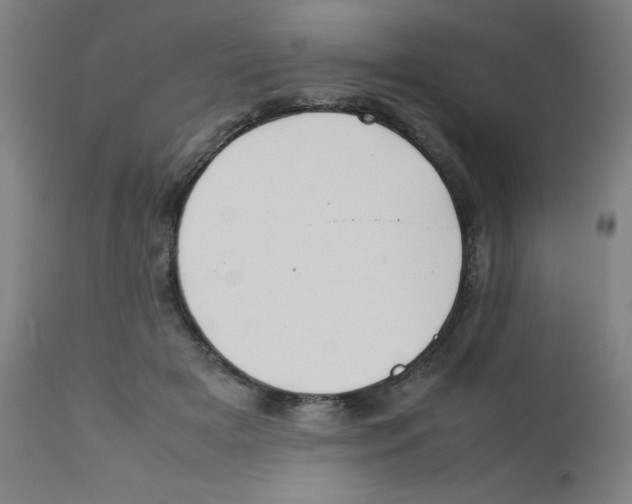 X0000112210505200909041344