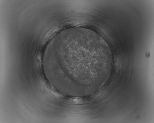 X0000112210506200909041344