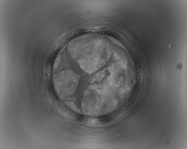 X0000112210507200909041344