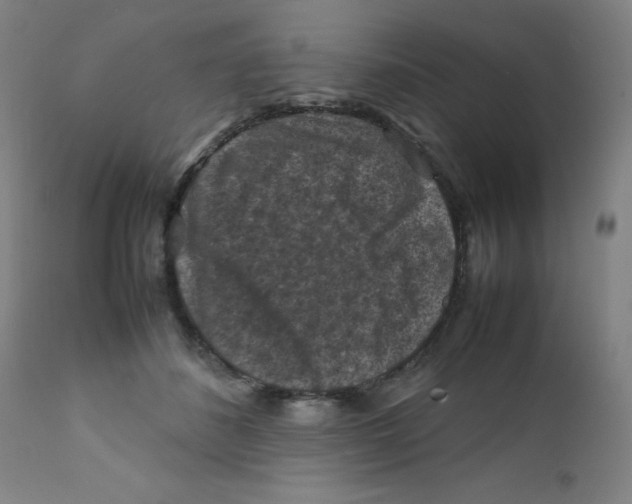 X0000112210508200909041344