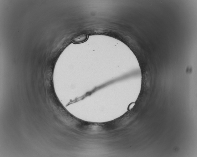 X0000112210509200909041344