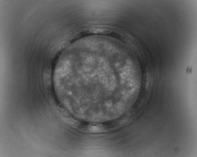 X0000112210510200909041344