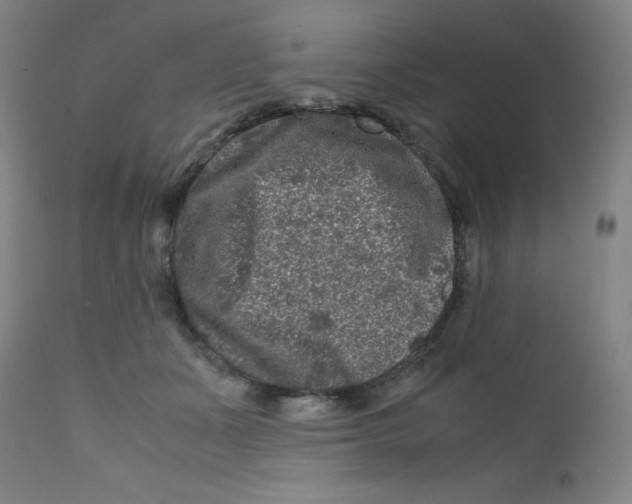 X0000112210511200909041344