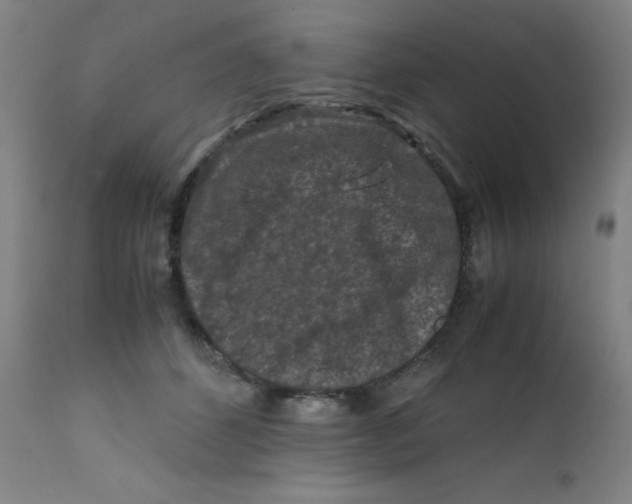 X0000112210512200909041344