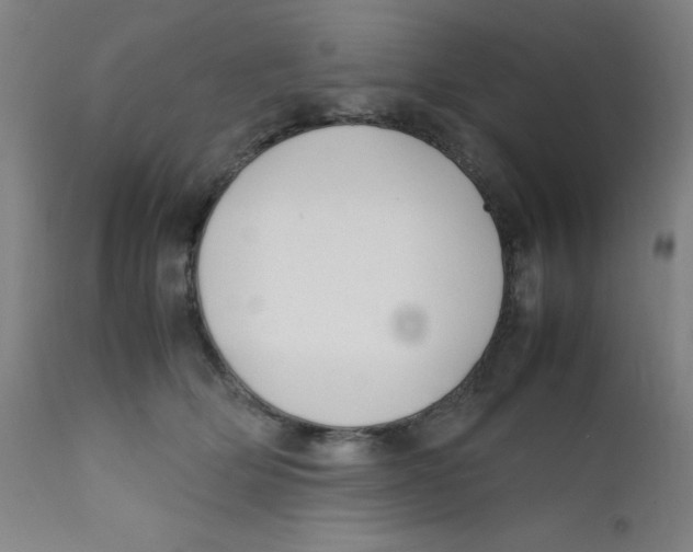 X0000112210514200909041344