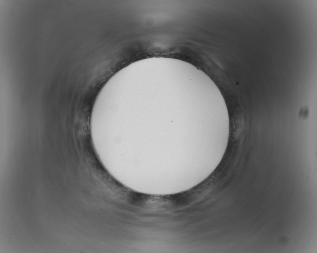 X0000112210515200909041344