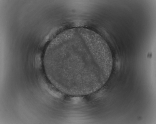 X0000112210516200909041344