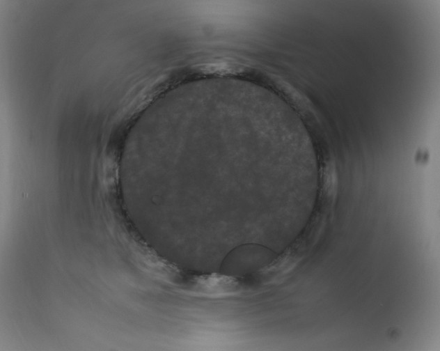 X0000112210517200909041344