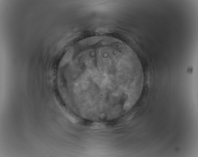X0000112210519200909041344