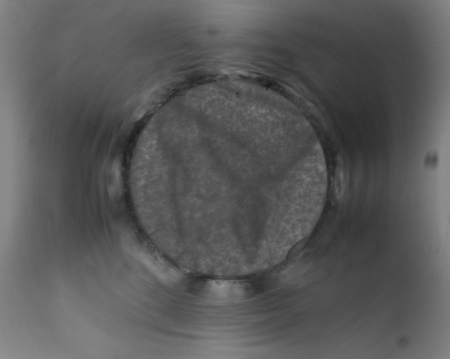 X0000112210520200909041344