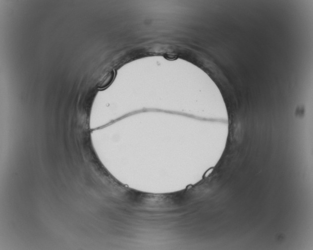 X0000112210521200909041344