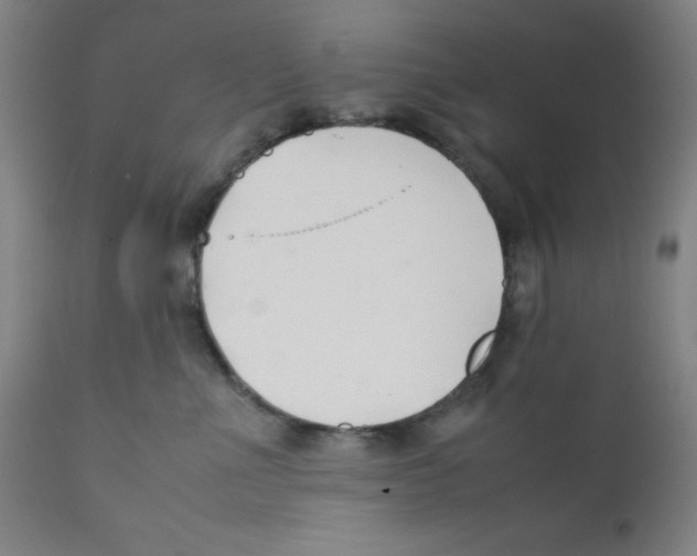 X0000112210523200909041344
