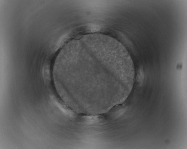 X0000112210524200909041344