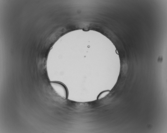 X0000112210525200909041344