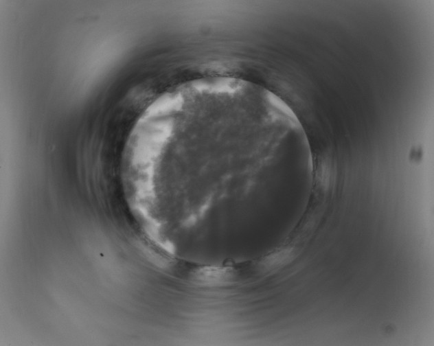 X0000112210526200909041344