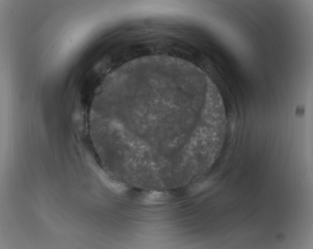 X0000112210527200909041344