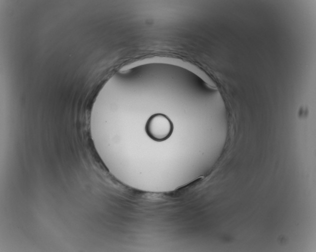 X0000112210528200909041344