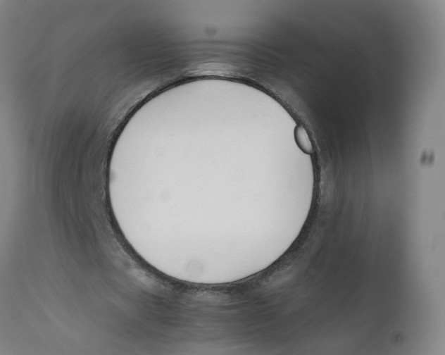 X0000112210529200909041343