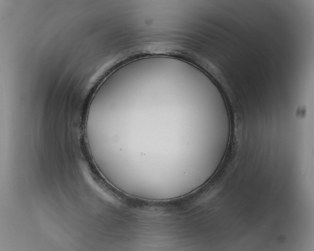 X0000112210530200909041343