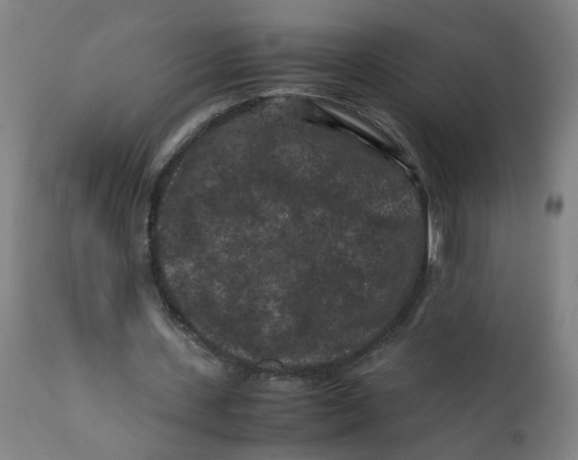 X0000112210531200909041343