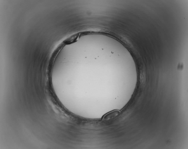 X0000112210532200909041343