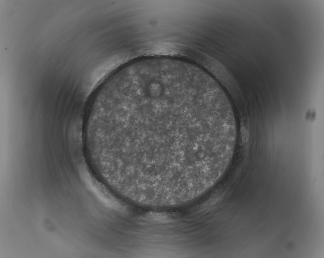 X0000112210534200909041343