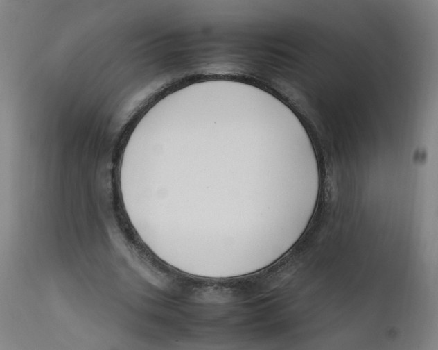 X0000112210535200909041343