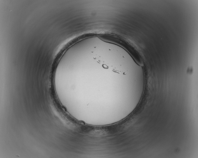 X0000112210536200909041343