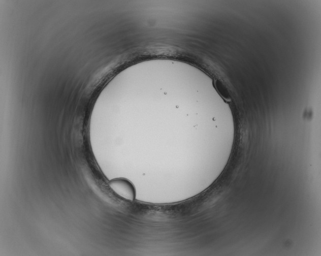 X0000112210538200909041344