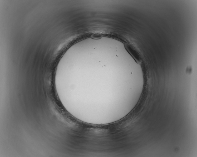 X0000112210539200909041344