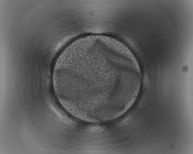 X0000112210540200909041344