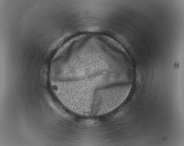 X0000112210542200909041344