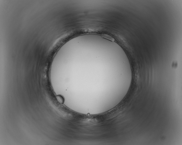 X0000112210543200909041344