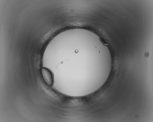 X0000112210544200909041344