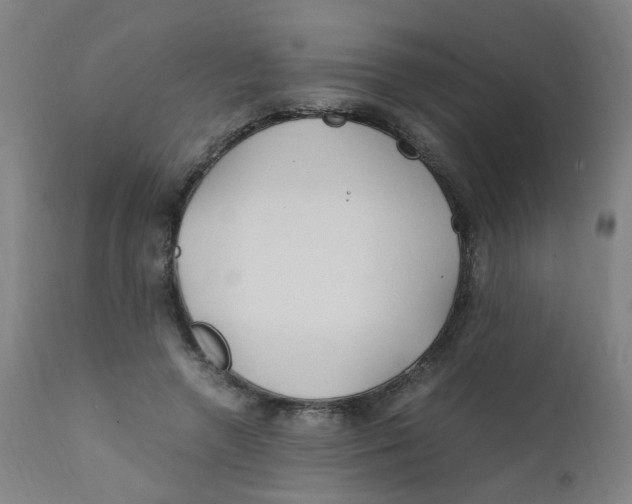 X0000112210546200909041344