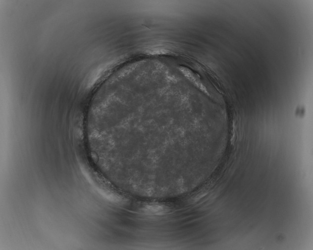 X0000112210547200909041344