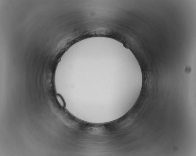 X0000112210548200909041344