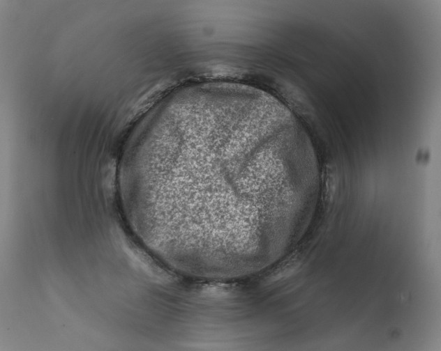 X0000112210550200909041344