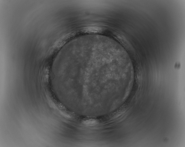 X0000112210551200909041344