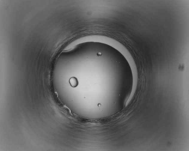X0000112210552200909041344