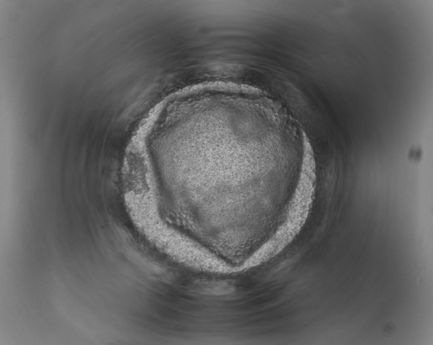 X0000112210553200909041344