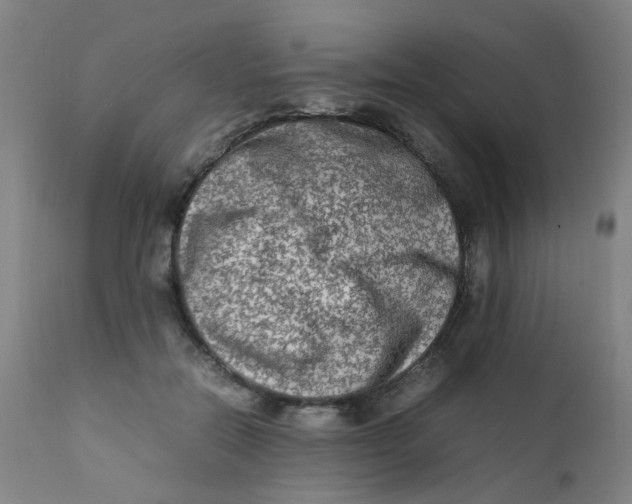 X0000112210554200909041344