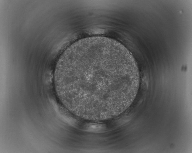 X0000112210555200909041344