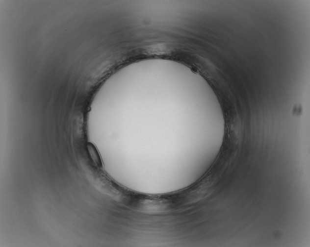 X0000112210556200909041344