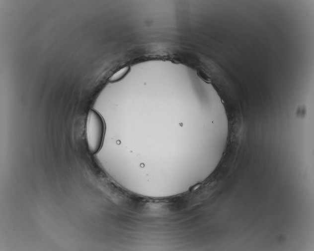 X0000112210560200909041344