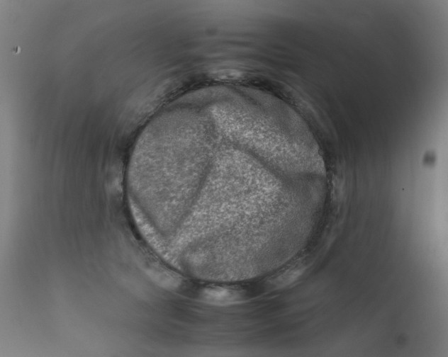 X0000112210561200909041344
