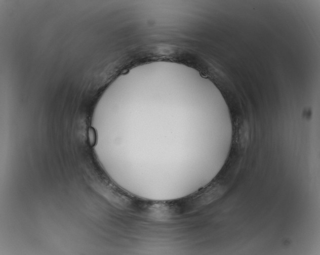 X0000112210562200909041344