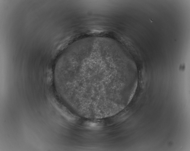 X0000112210563200909041344